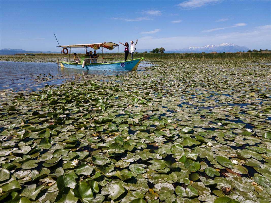 Konya’da beklenen an! Doğanın sessiz mucizesi göz kamaştırmaya başladı 2